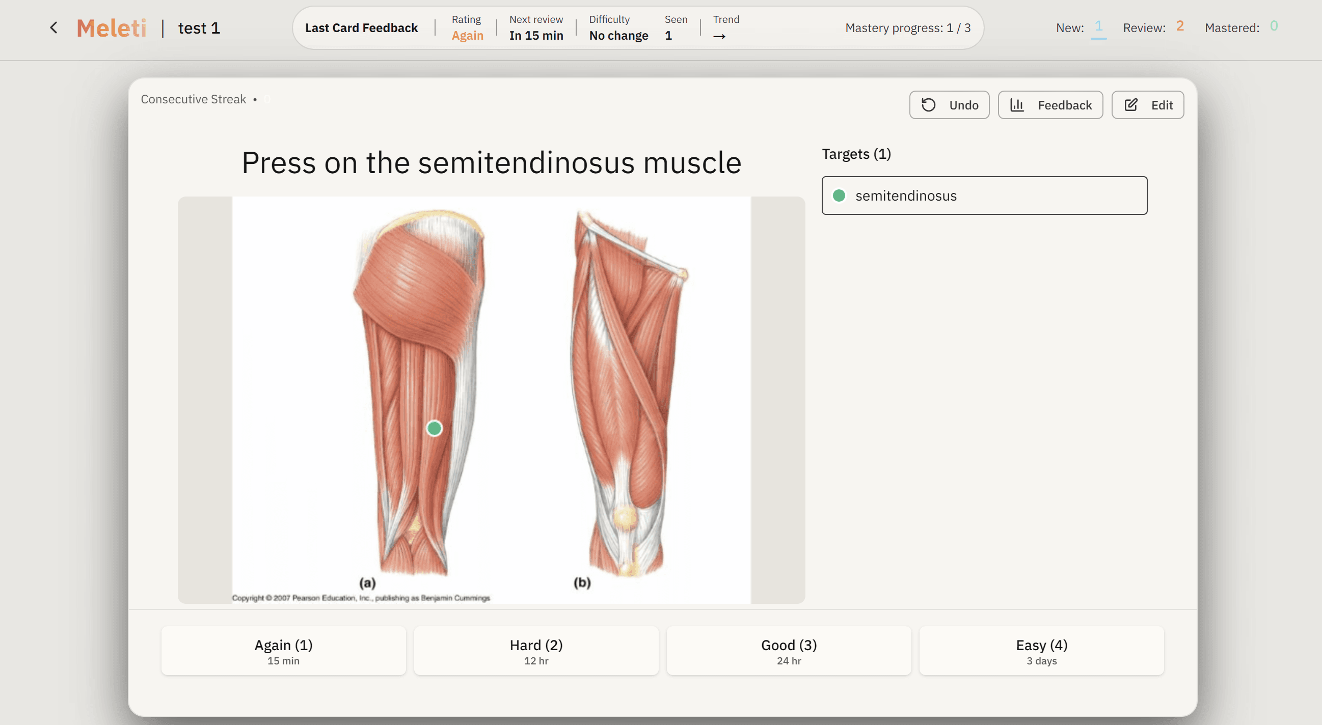 Preview of Interactive card type